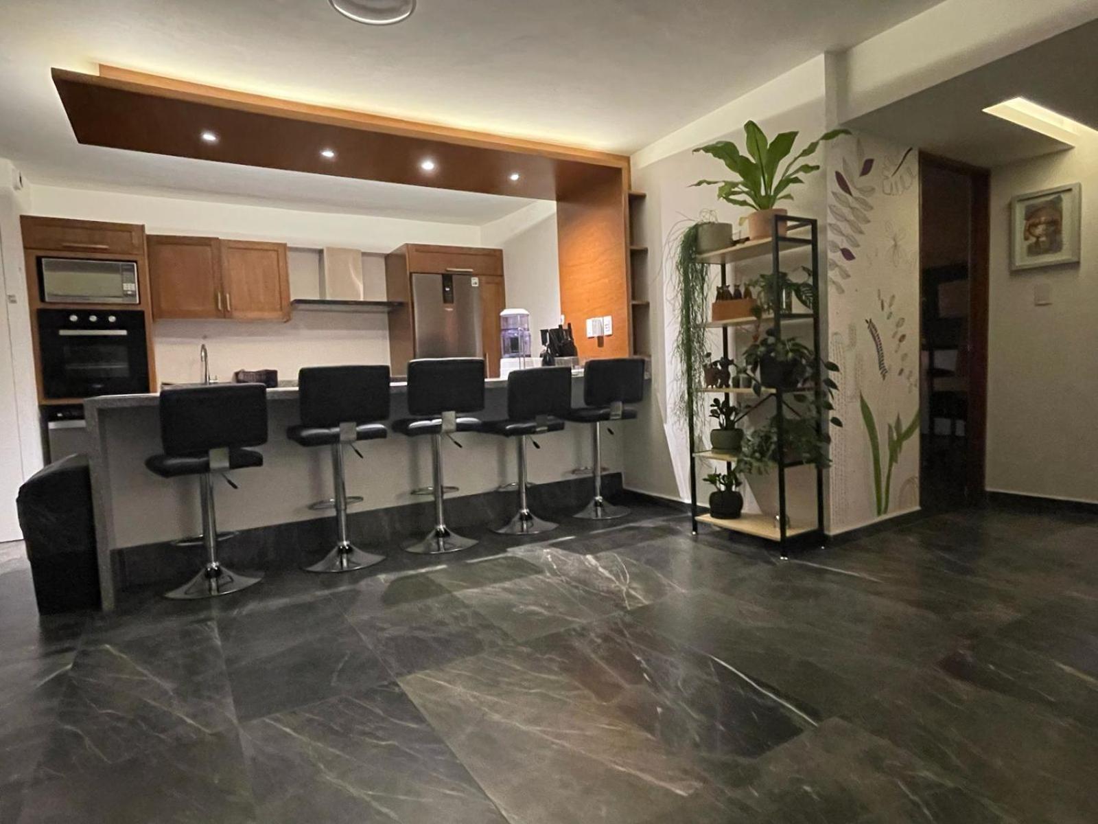 Great Apartment In The Heart Of Coyoacan Kota Meksiko Bagian luar foto